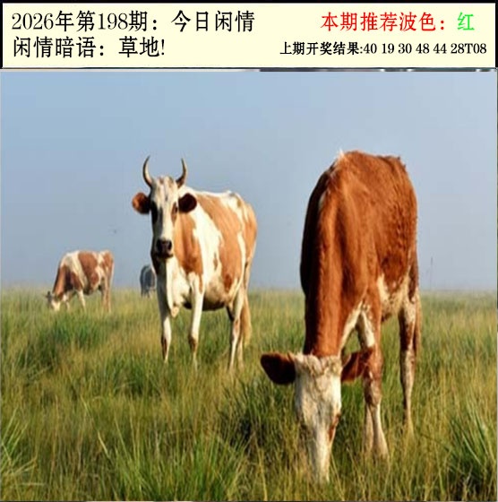 刘半仙