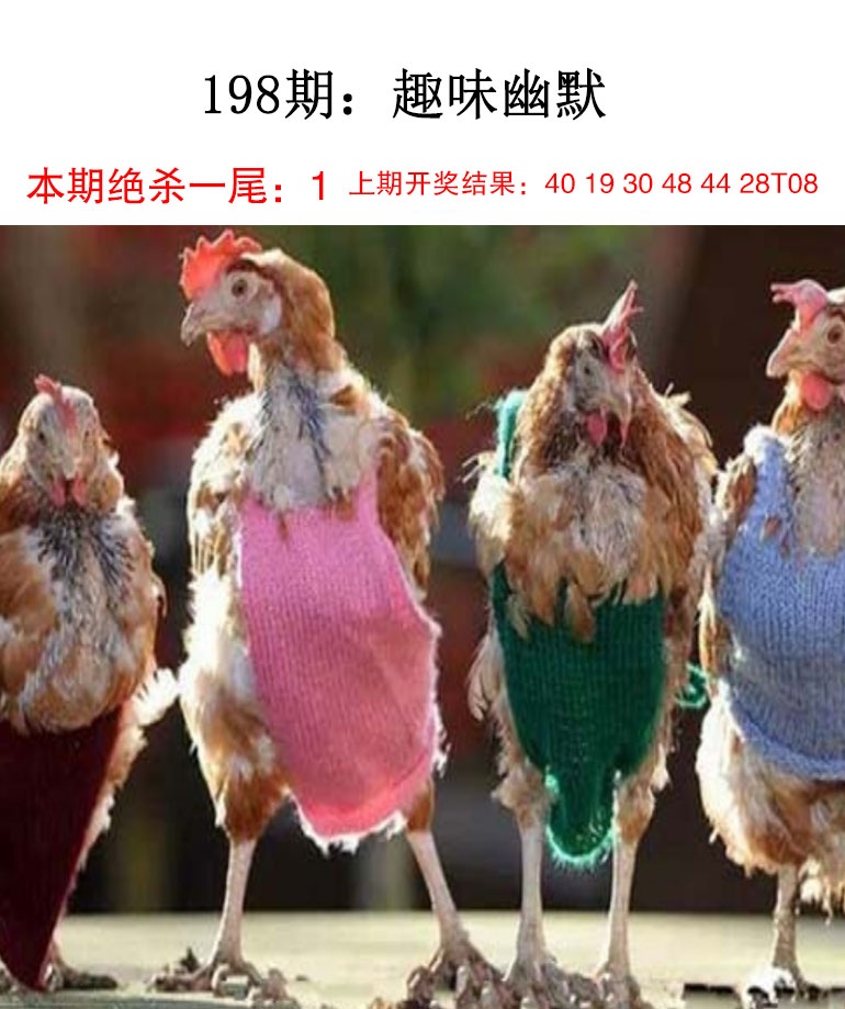 刘半仙