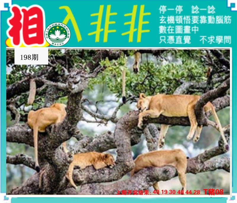 刘半仙