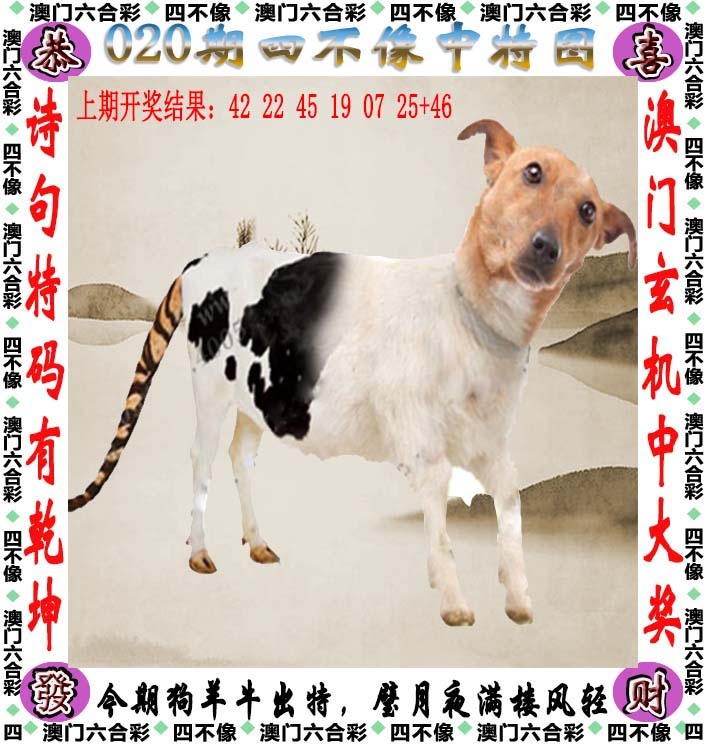 如遇图片未显示，请开奖日六点后查看