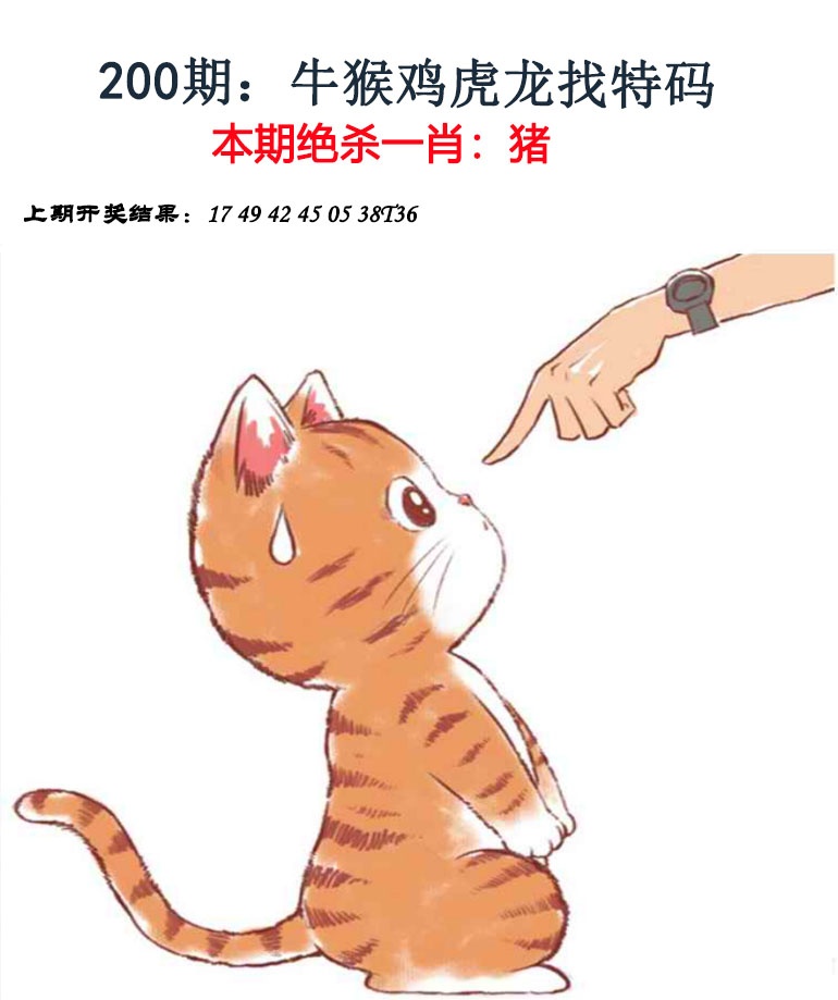 澳门百彩通