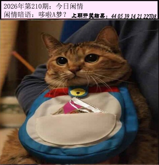 刘半仙