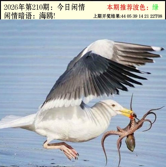 刘半仙