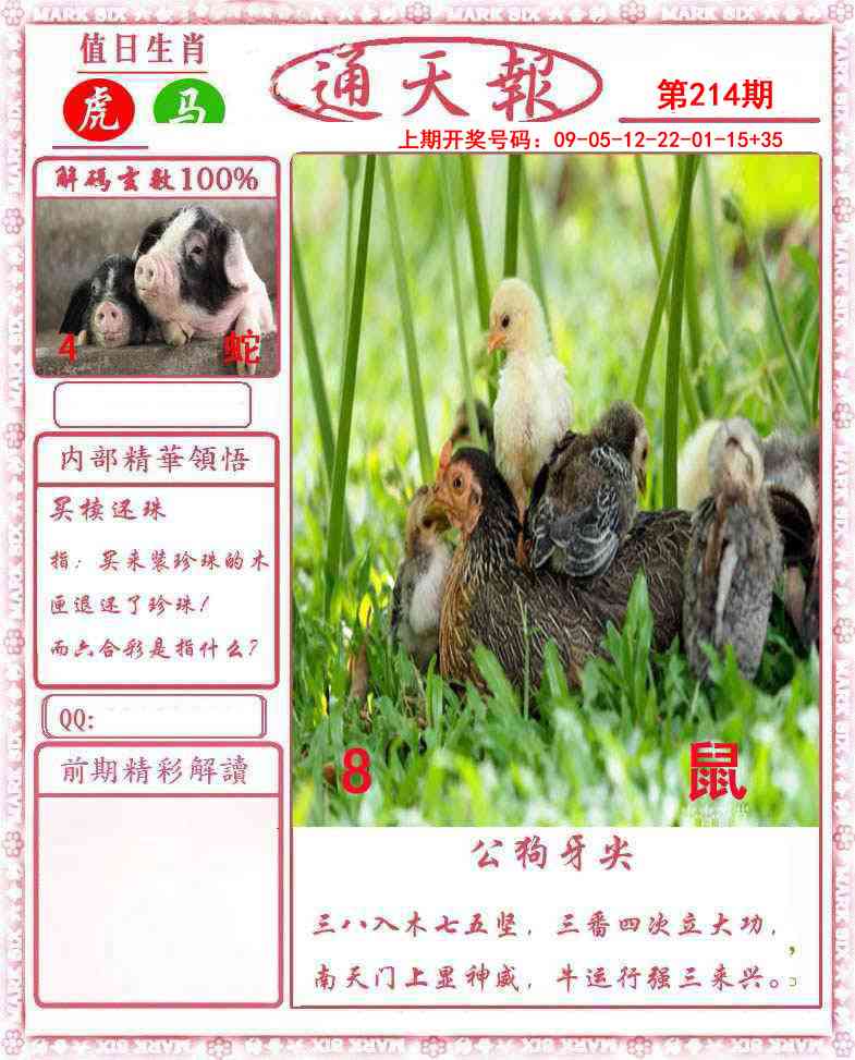 报彩神童