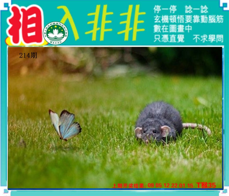 报彩神童