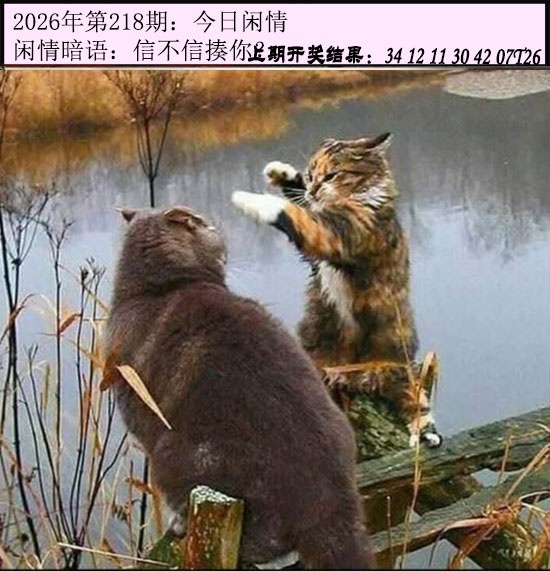 刘半仙