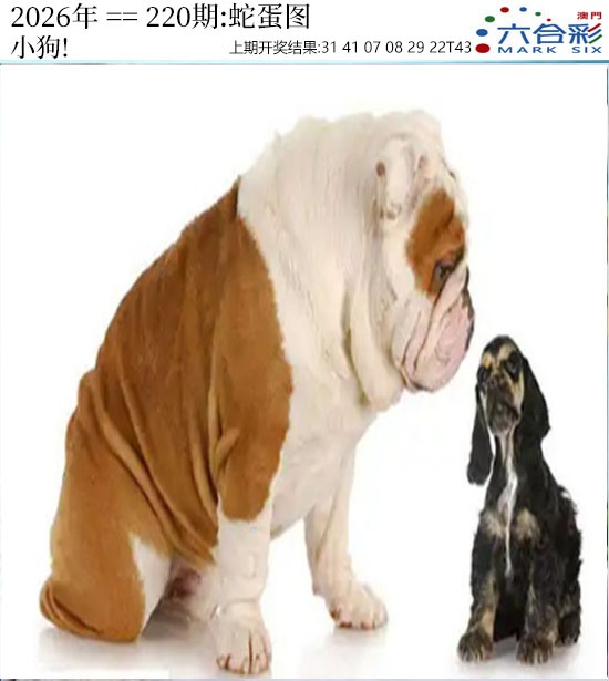 刘半仙