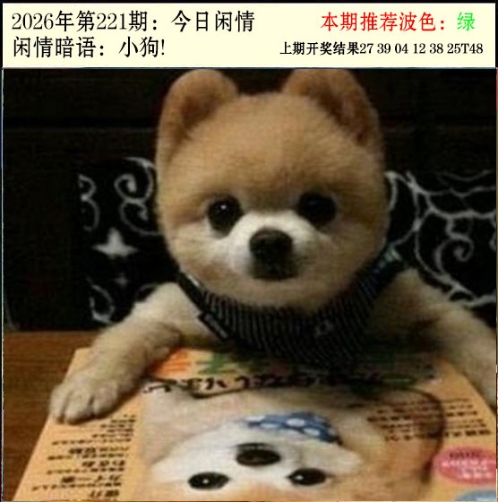 报彩神童