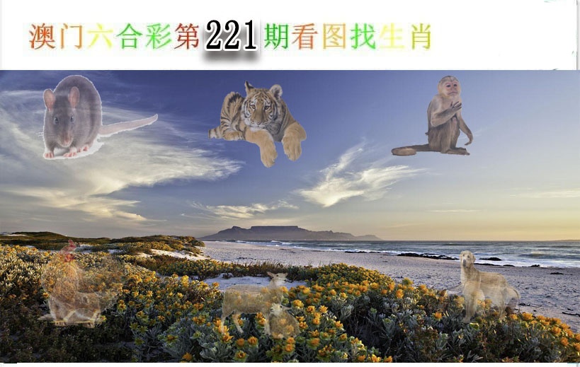 报彩神童