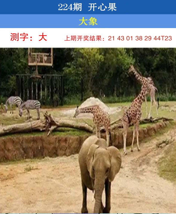 刘半仙