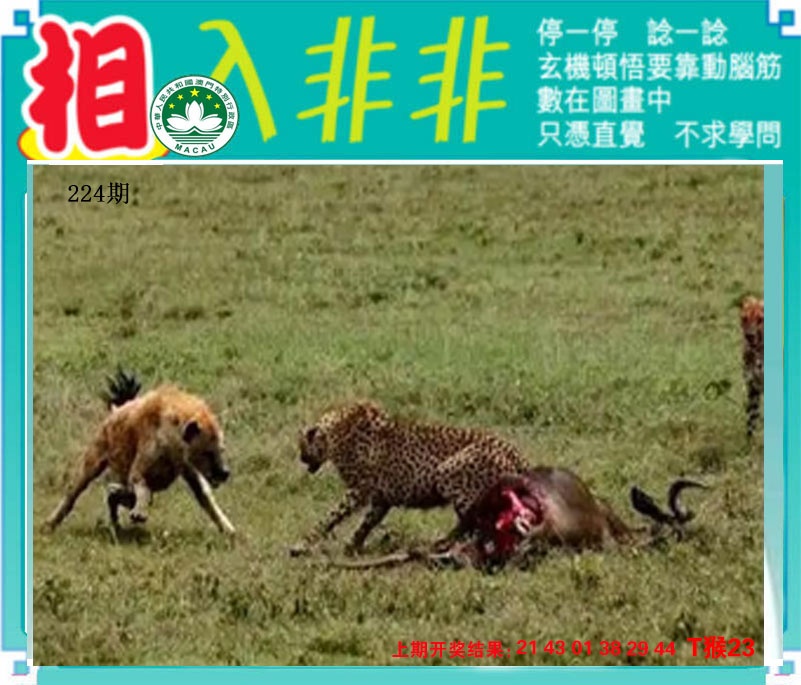 刘半仙