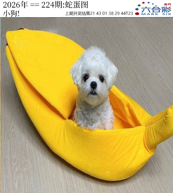 刘半仙