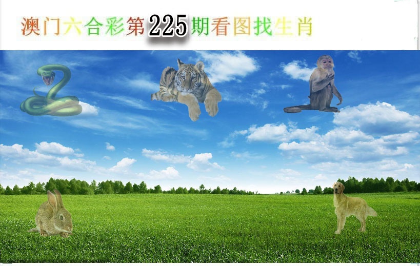 刘半仙