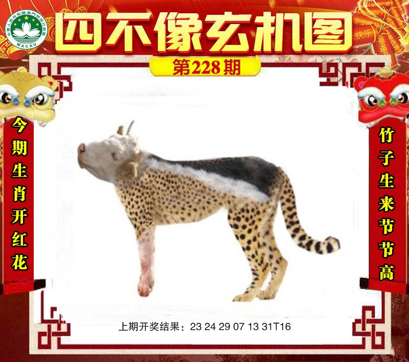 如遇图片未显示，请开奖日六点后查看