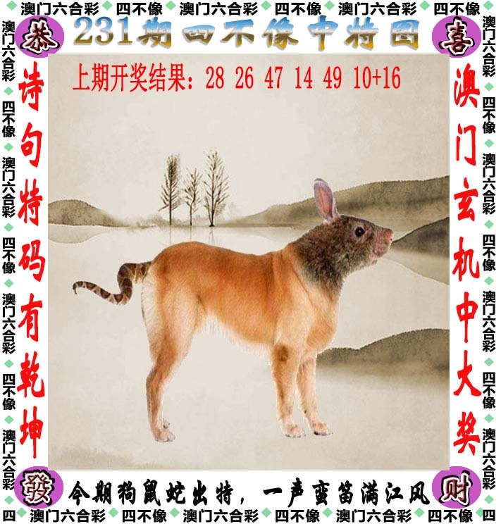 ����Ŵ�