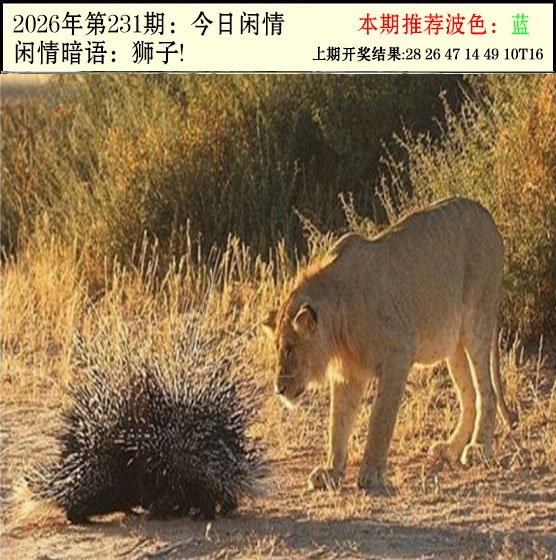 刘半仙
