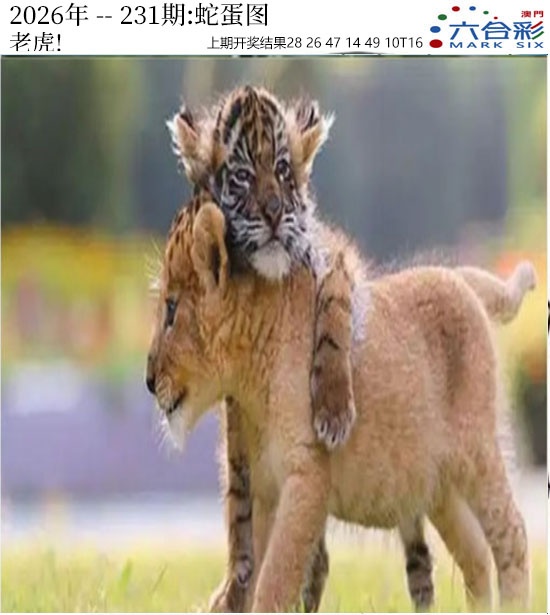 刘半仙