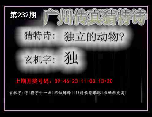 澳门天天好彩