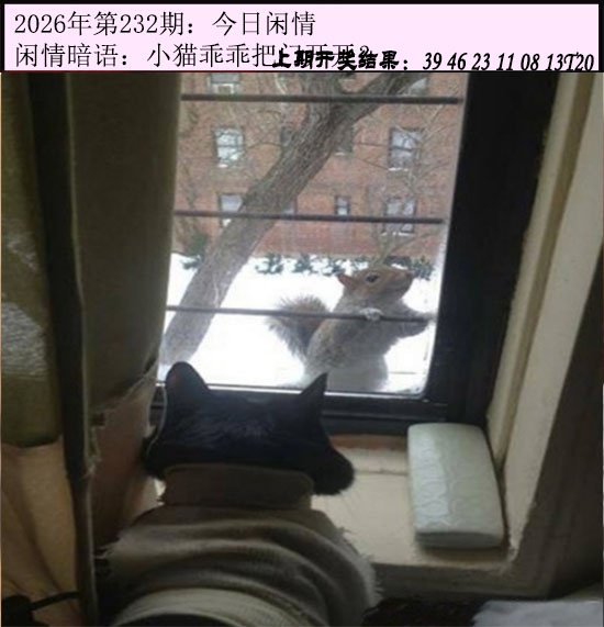 澳门天天好彩