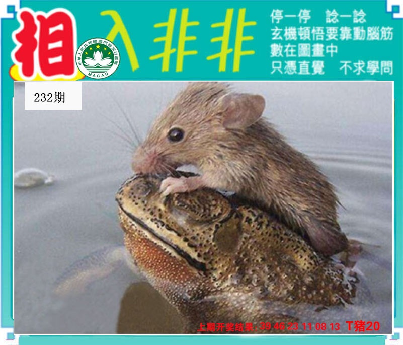 澳门天天好彩