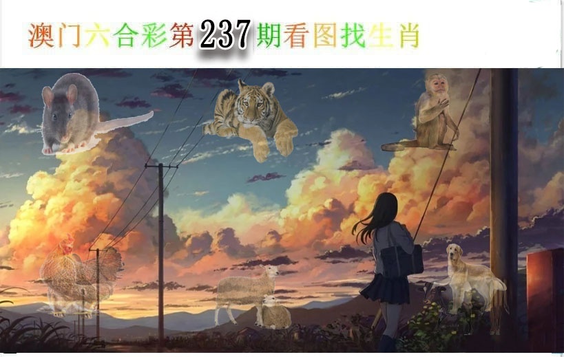 澳门横财富