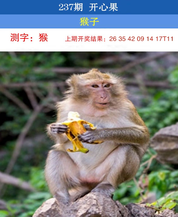 澳门横财富