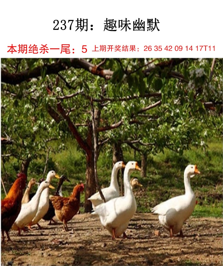 刘半仙