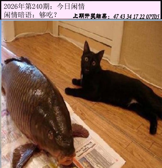刘半仙