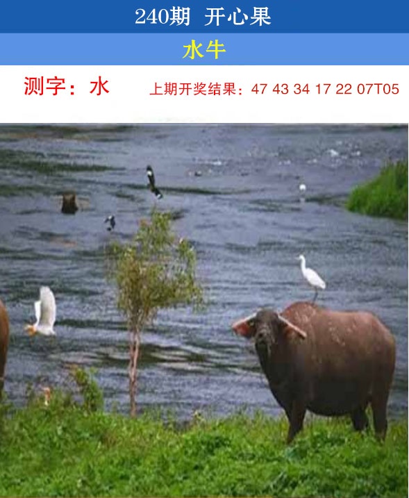 刘半仙
