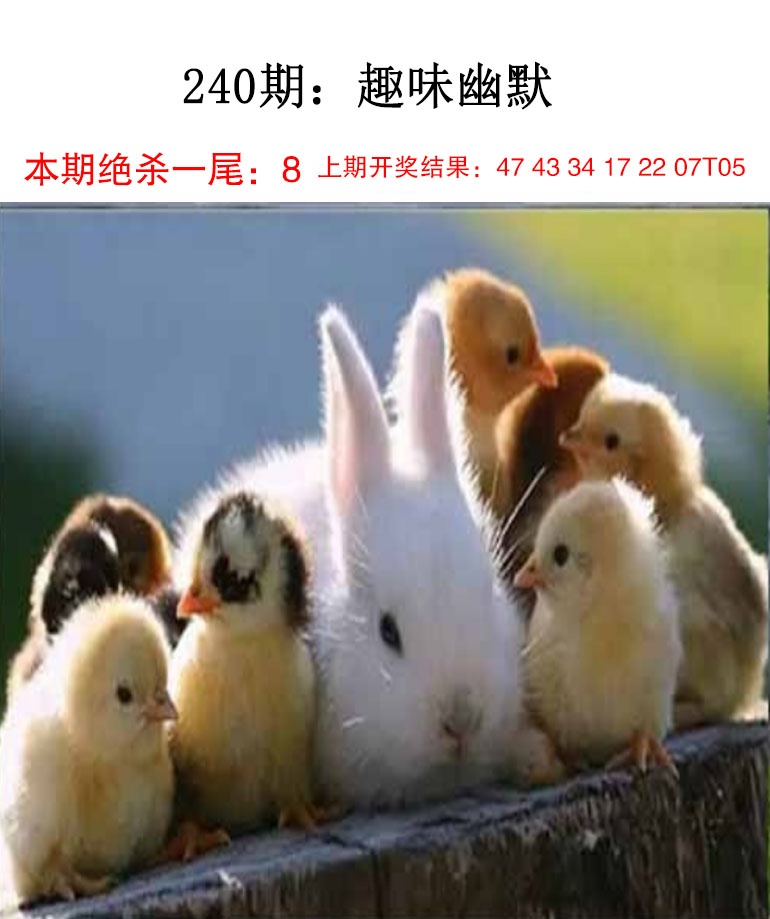 刘半仙