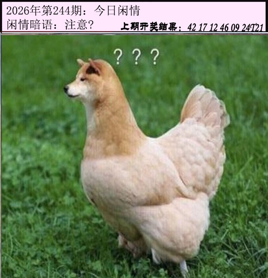 刘半仙