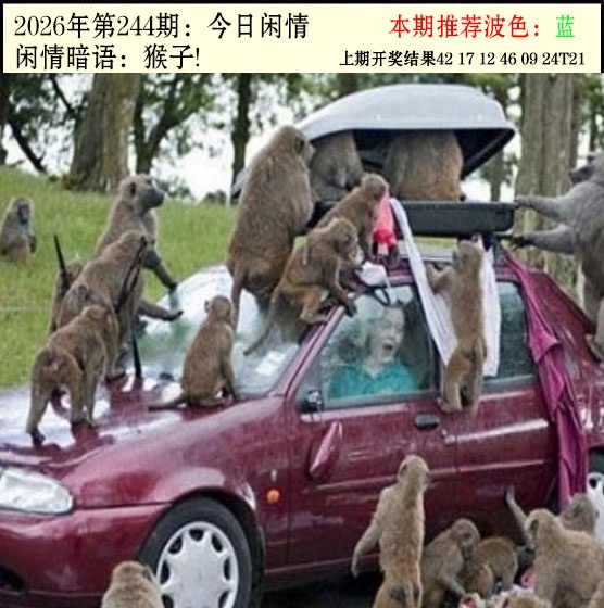 刘半仙