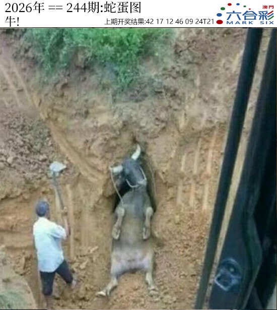 刘半仙