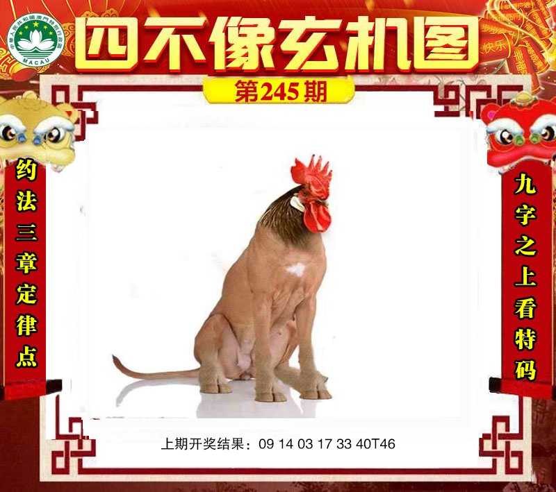 如遇图片未显示，请开奖日六点后查看