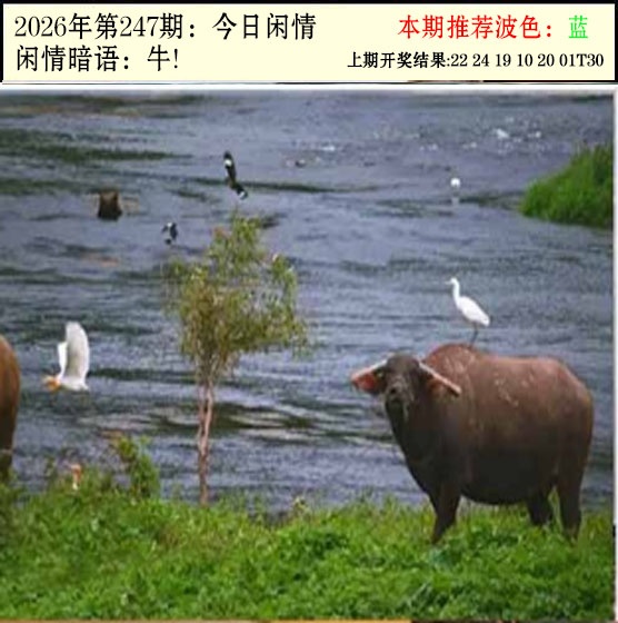 澳门救世祖