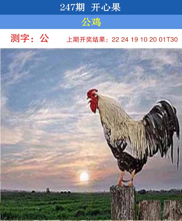 澳门救世祖