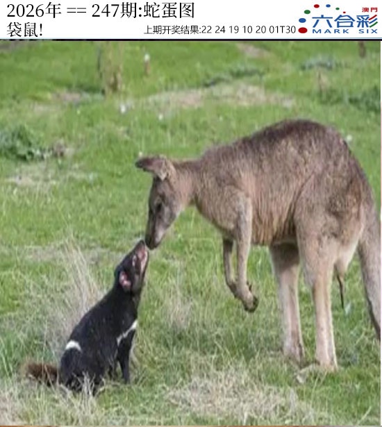 澳门救世祖
