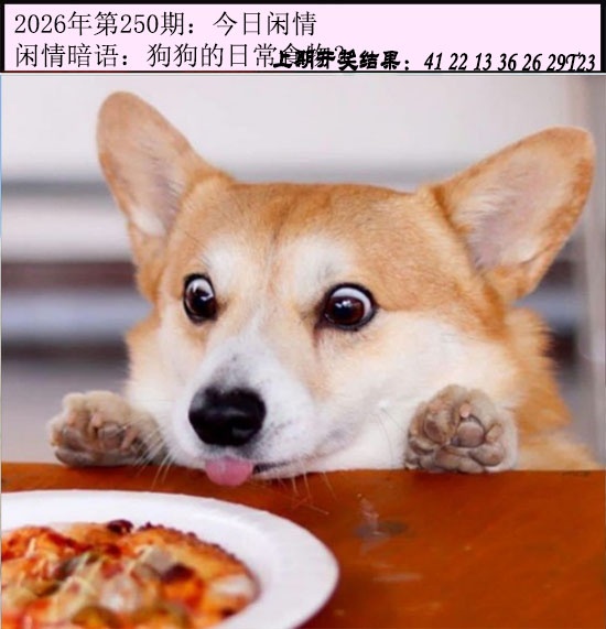 澳门横财富