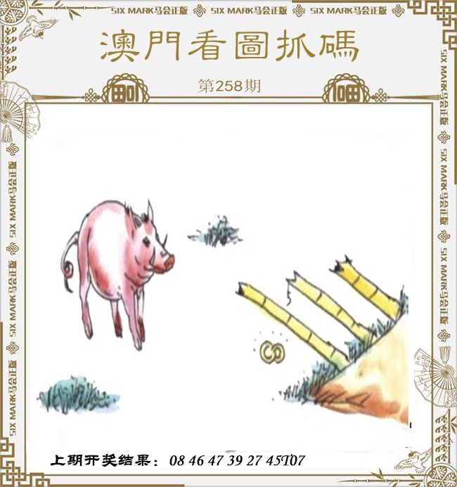 澳门马经论坛