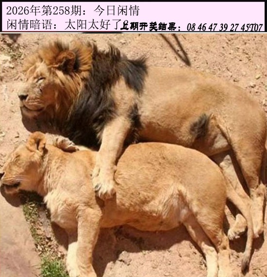 澳门马经论坛
