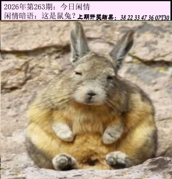 刘半仙