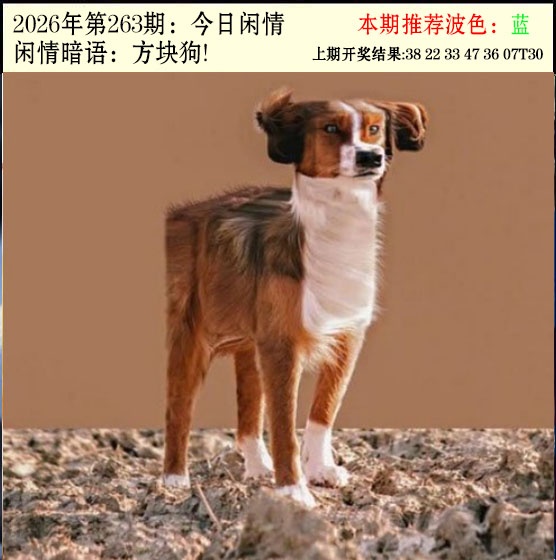 刘半仙