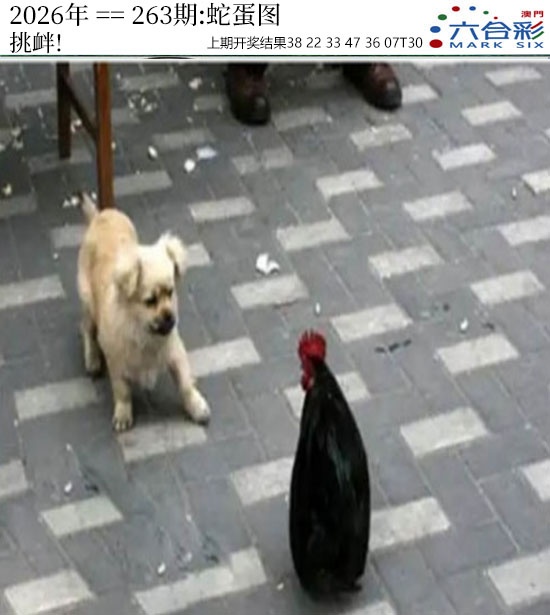 刘半仙