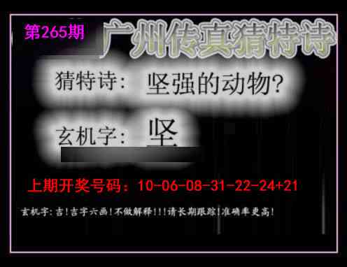 澳门奇人中特