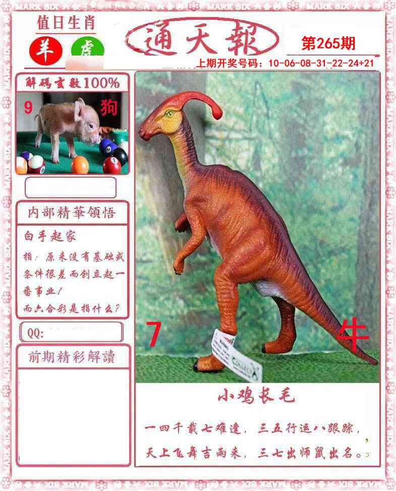 澳门奇人中特