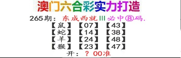 澳门奇人中特