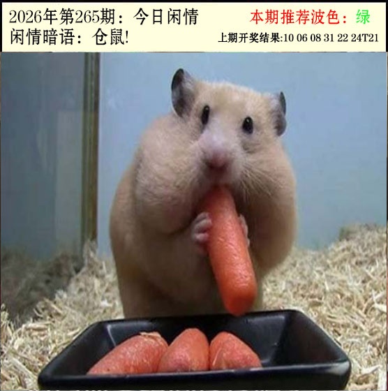 澳门奇人中特