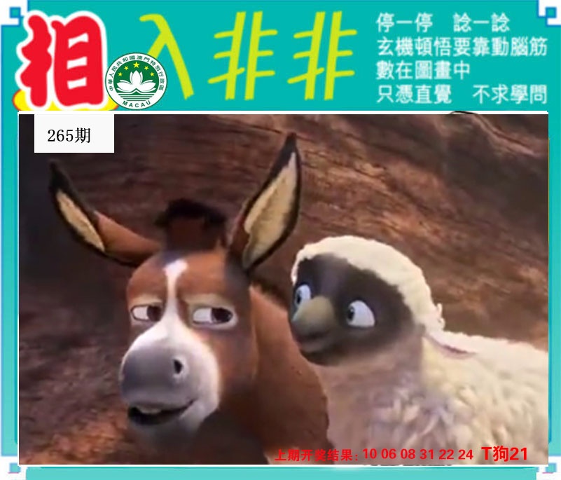 澳门奇人中特