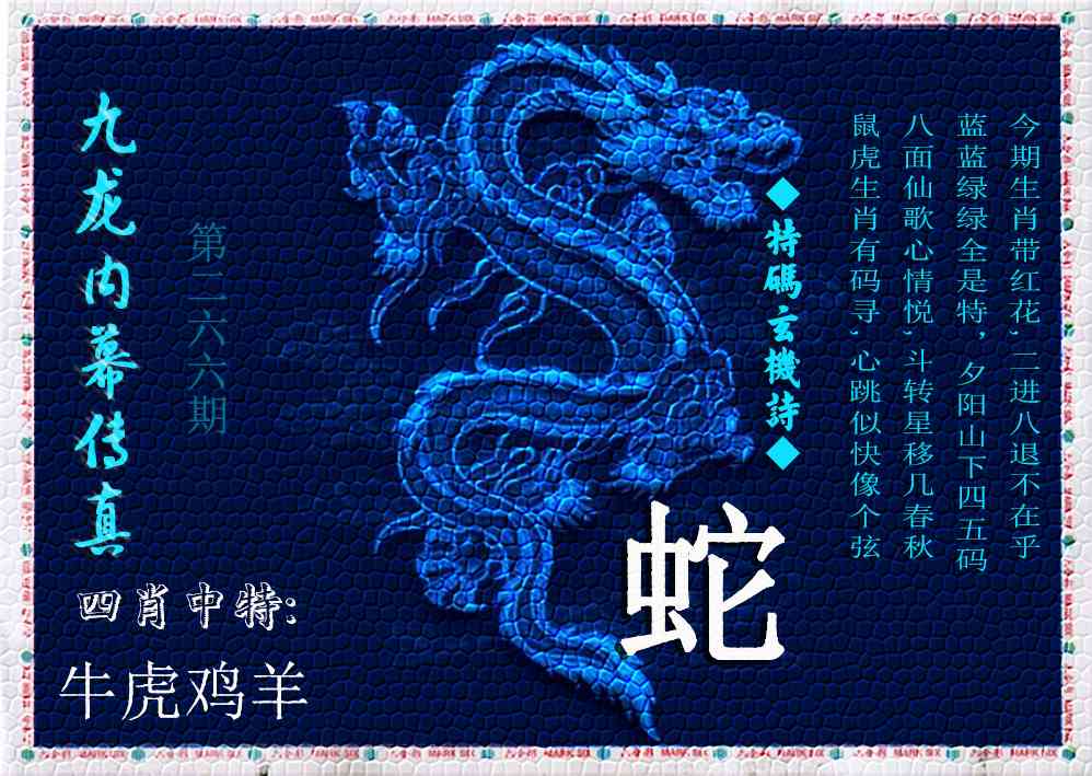 澳门横财富