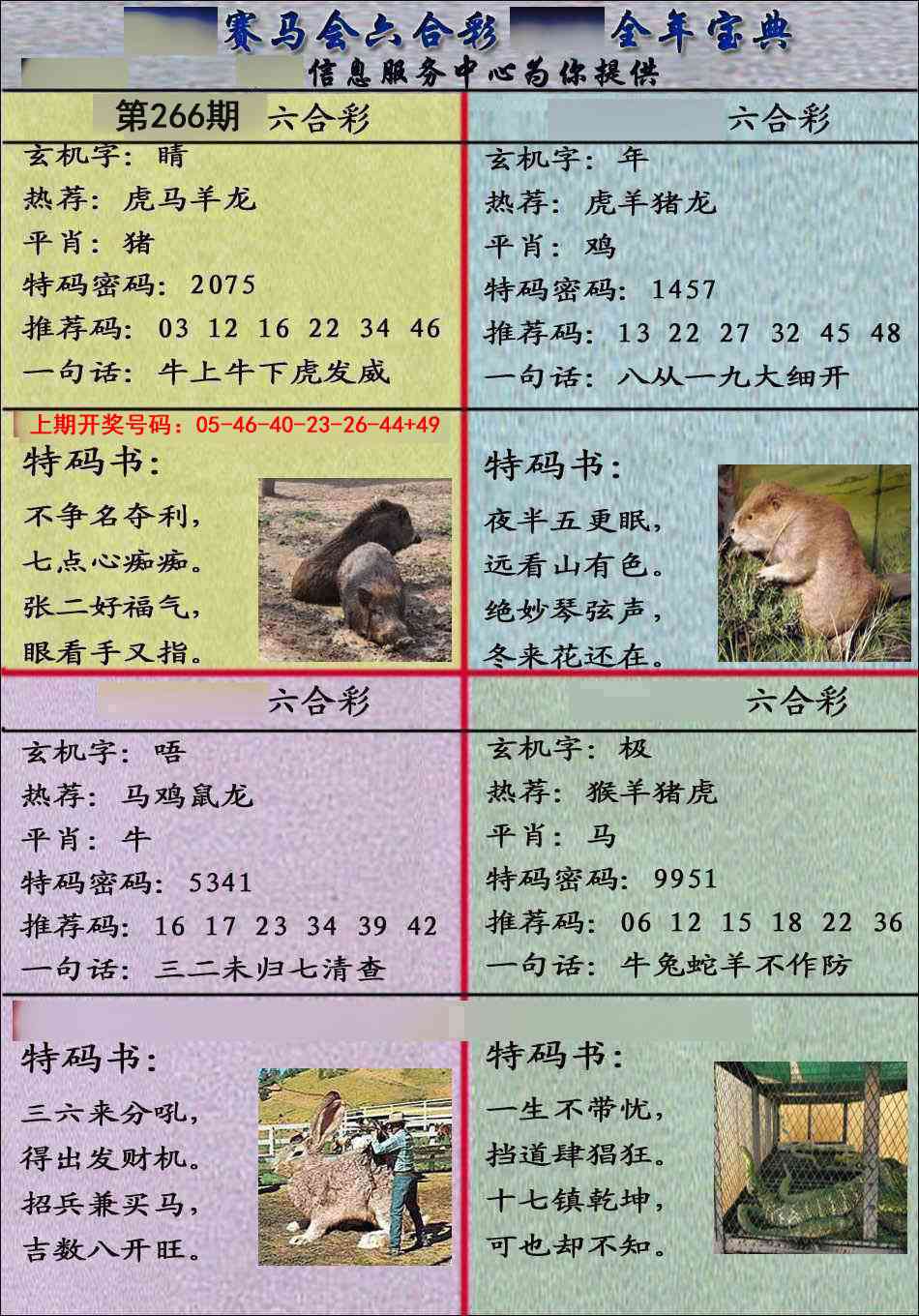 澳门横财富
